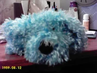 IMAG0003.webp