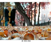 In the end.webp