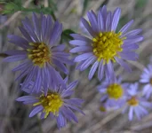 IMG_1187.jpg