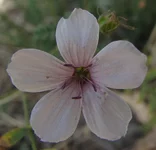 IMG_1710.jpg