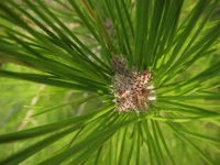 IMG_0738.webp