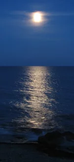 IMG_1574.webp