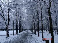 2.webp