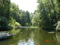 .webp