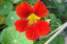 DSC00091.webp