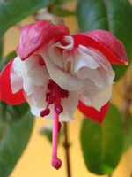 DSC01798.webp