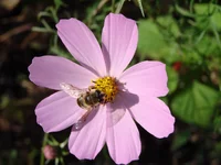 DSC01830.webp