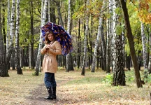 autumn.webp