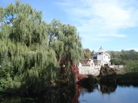 DSC07582.webp