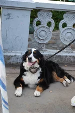 DSC_2664.webp