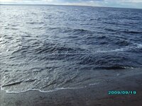 IMG_0119.JPG