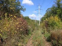  042.webp
