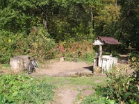  059.webp
