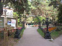  145.webp