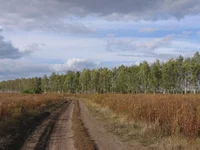  150.webp