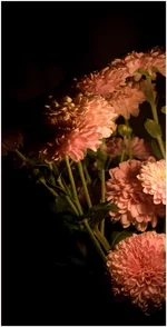 DSC_1786.webp