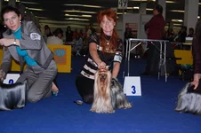 DSC_0234.webp