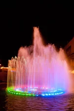 PICT0099.webp