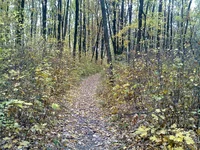 12102009181.webp