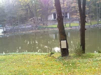 12102009183.webp