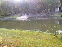 12102009184.webp