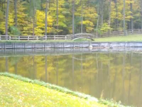 12102009190.webp