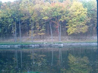 12102009198.webp