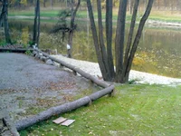 12102009199.webp