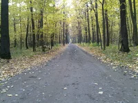 12102009202.webp