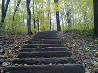 12102009205.webp