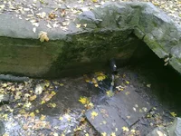12102009209.webp