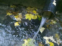 12102009210.webp