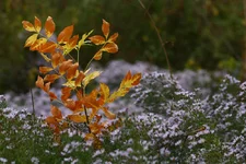 40_802413.jpg