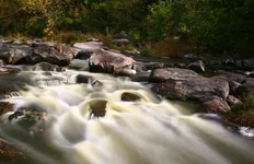 54_791534.webp