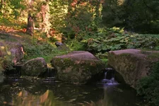 72_277551.webp