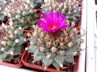 10102009070.webp
