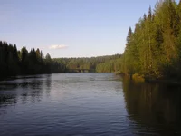 P1010129.webp