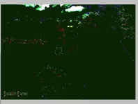 lights.jpg