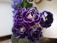 20160614_175314.webp