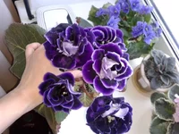 20160614_175333.webp