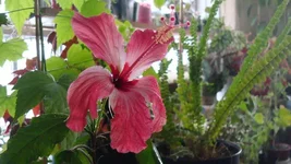 DSC03153-small.webp