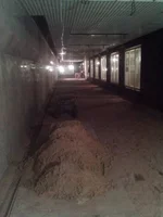 cTGBxrmA5tw.webp