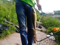 IMG_20160619_075544.webp