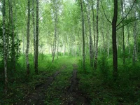 555.jpg