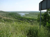 (2).webp