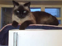 07042011409.webp
