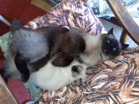 28042011539.webp