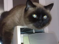 221020131686.webp