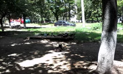 IMG_20160625_125755.webp