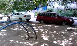 IMG_20160625_125833.webp